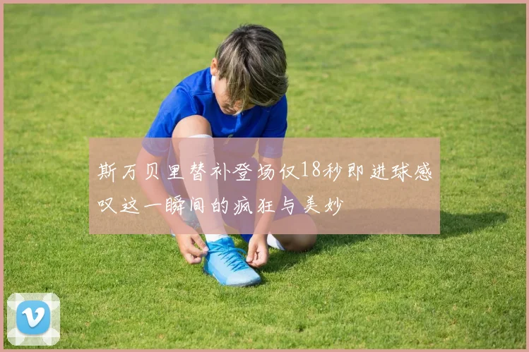 斯万贝里替补登场仅18秒即进球感叹这一瞬间的疯狂与美妙